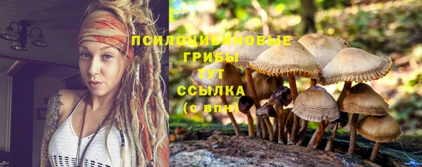 винт Краснослободск