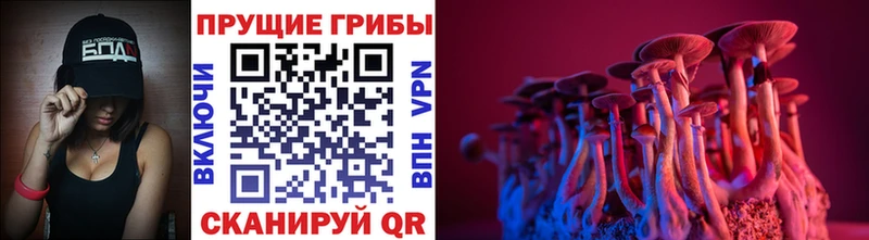 Галлюциногенные грибы Cubensis  Куйбышев 